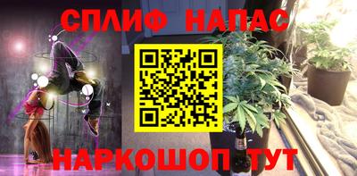 прущие грибы Обь