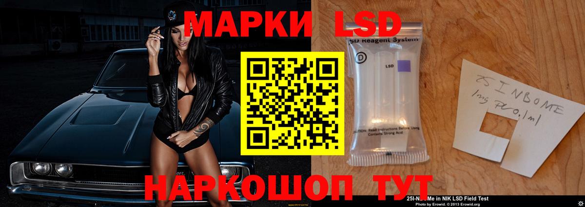Галлюциногенные грибы Сокол