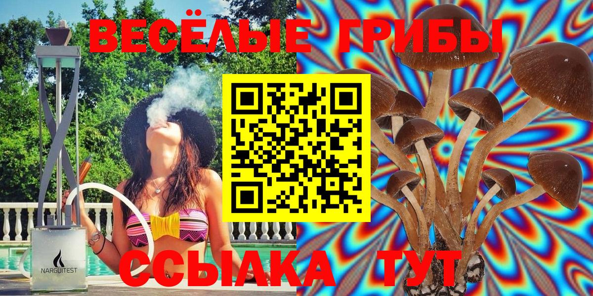 Галлюциногенные грибы MAGIC MUSHROOMS  Вход с VPN  Сокол 